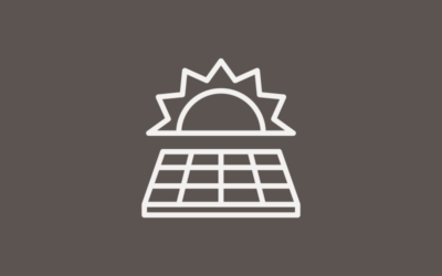 Gut gestaltete Solarparks sind Win-Win für Natur und Klima